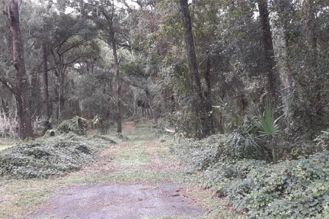 Terreno en venta en Wildwood, Florida № 1555442 - foto 2