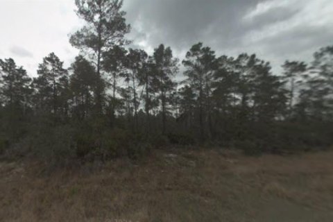 Land in Sebring, Florida № 2165205