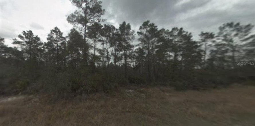Land in Sebring, Florida № 2165205