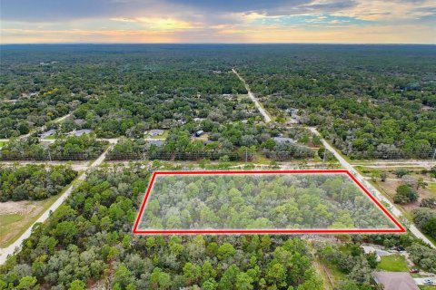 Land in Weeki Wachee, Florida № 2378314 - photo 23