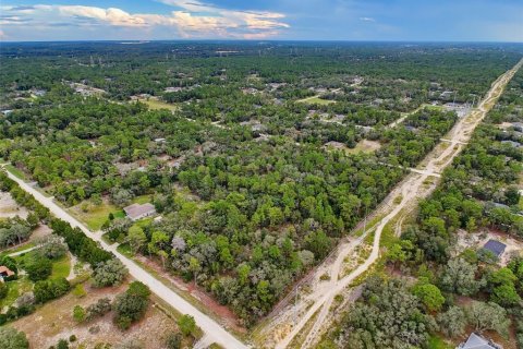 Land in Weeki Wachee, Florida № 2378314 - photo 14