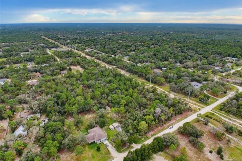 Land in Weeki Wachee, Florida № 2378314 - photo 26