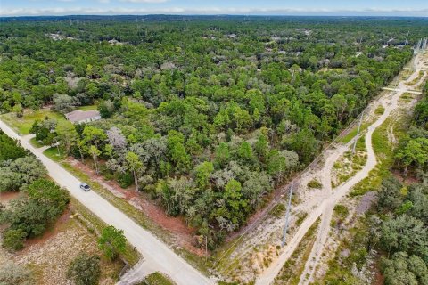 Land in Weeki Wachee, Florida № 2378314 - photo 12