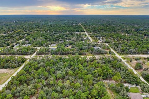 Land in Weeki Wachee, Florida № 2378314 - photo 24