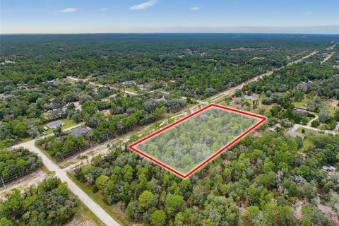 Land in Weeki Wachee, Florida № 2378314 - photo 21