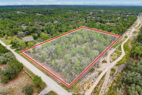 Land in Weeki Wachee, Florida № 2378314 - photo 11