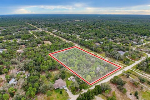 Land in Weeki Wachee, Florida № 2378314 - photo 25