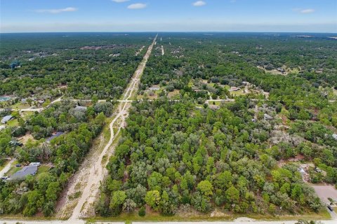 Land in Weeki Wachee, Florida № 2378314 - photo 20