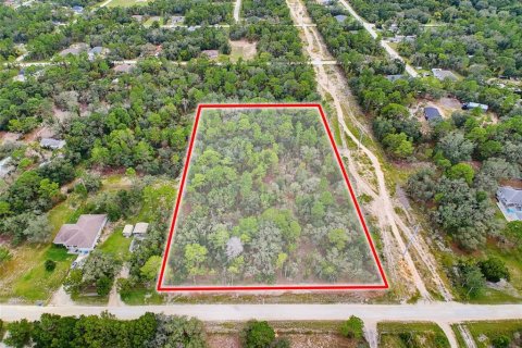Land in Weeki Wachee, Florida № 2378314 - photo 7