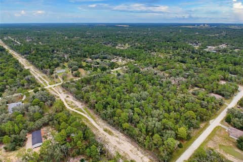 Land in Weeki Wachee, Florida № 2378314 - photo 18
