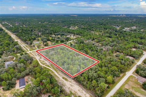 Land in Weeki Wachee, Florida № 2378314 - photo 17