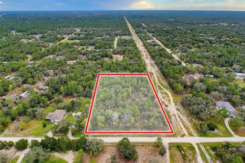 Land in Weeki Wachee, Florida № 2378314 - photo 9