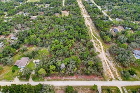 Land in Weeki Wachee, Florida № 2378314 - photo 8