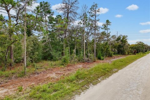 Land in Weeki Wachee, Florida № 2378314 - photo 30
