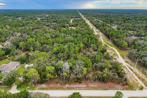 Land in Weeki Wachee, Florida № 2378314 - photo 6