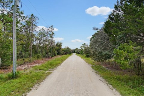 Land in Weeki Wachee, Florida № 2378314 - photo 28
