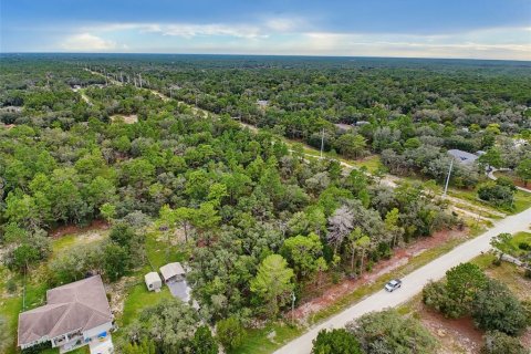 Land in Weeki Wachee, Florida № 2378314 - photo 27