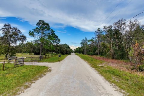 Land in Weeki Wachee, Florida № 2378314 - photo 29