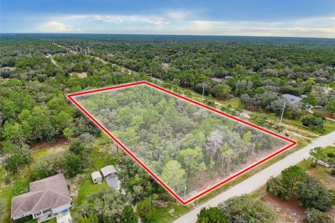 Land in Weeki Wachee, Florida № 2378314