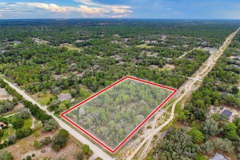 Land in Weeki Wachee, Florida № 2378314 - photo 13
