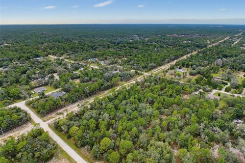 Land in Weeki Wachee, Florida № 2378314 - photo 22