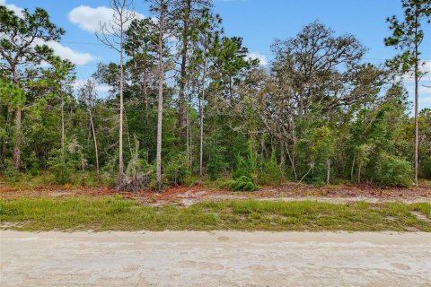 Land in Weeki Wachee, Florida № 2378314 - photo 2