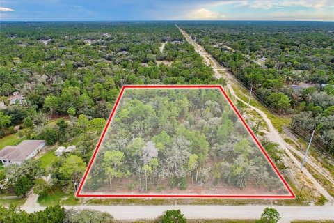 Land in Weeki Wachee, Florida № 2378314 - photo 5
