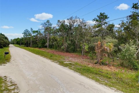 Land in Weeki Wachee, Florida № 2378314 - photo 4