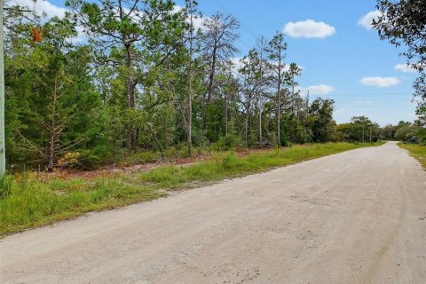 Land in Weeki Wachee, Florida № 2378314 - photo 3