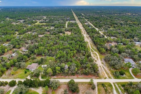 Land in Weeki Wachee, Florida № 2378314 - photo 10