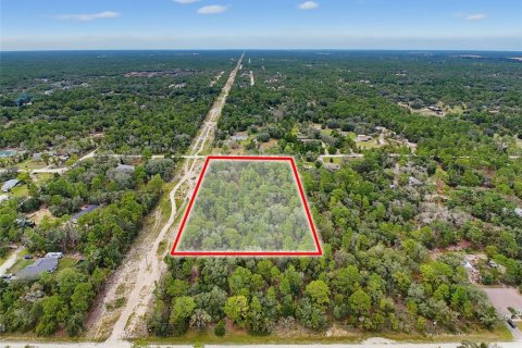 Land in Weeki Wachee, Florida № 2378314 - photo 19
