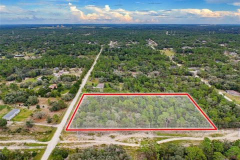 Land in Weeki Wachee, Florida № 2378314 - photo 15