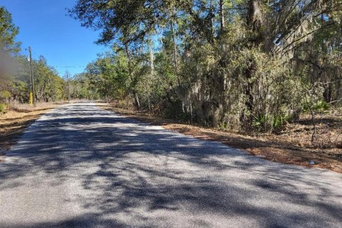 Land in Ocala, Florida № 2228759 - photo 5