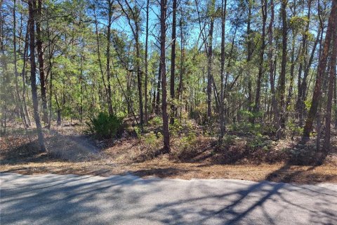 Land in Ocala, Florida № 2228759 - photo 4