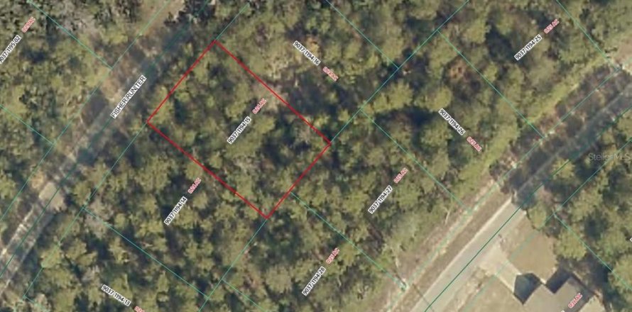 Land in Ocala, Florida № 2228759
