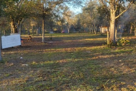 Land in Okeechobee, Florida № 965822 - photo 1