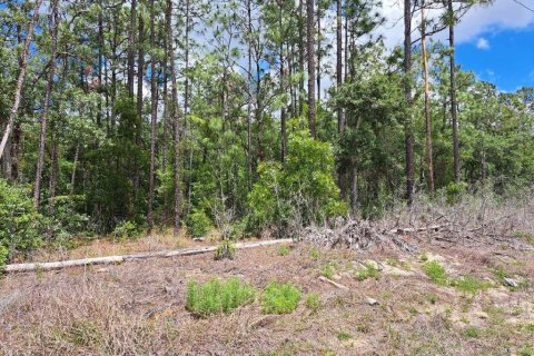 Terrain à vendre à Ocala, Floride № 2212436 - photo 3