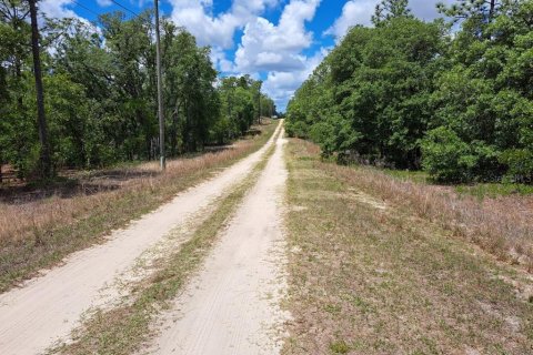 Terrain à vendre à Ocala, Floride № 2212436 - photo 5