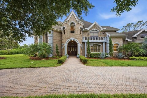 Villa ou maison à vendre à Lutz, Floride: 5 chambres, 679.49 m2 № 2140899 - photo 2