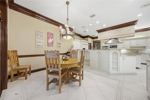 Villa ou maison à vendre à Lutz, Floride: 5 chambres, 679.49 m2 № 2140899 - photo 29