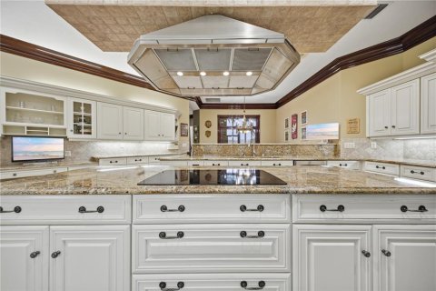 Villa ou maison à vendre à Lutz, Floride: 5 chambres, 679.49 m2 № 2140899 - photo 22