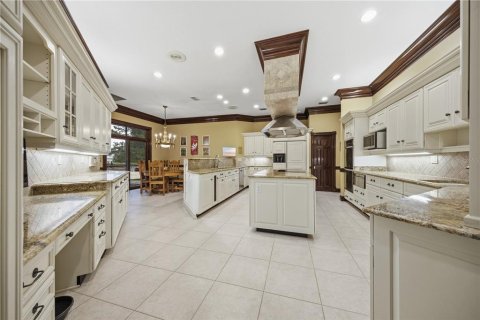 Villa ou maison à vendre à Lutz, Floride: 5 chambres, 679.49 m2 № 2140899 - photo 20