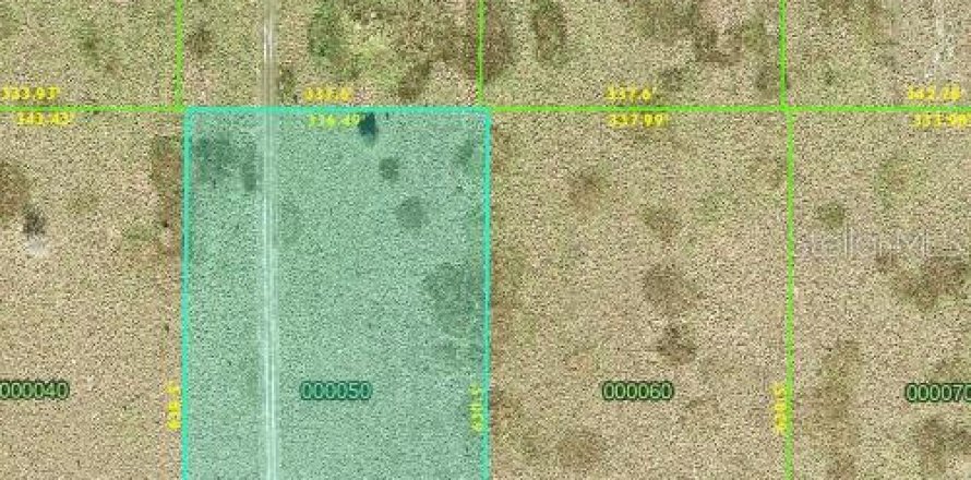 Terrain à Fort Meade, Floride № 1642991