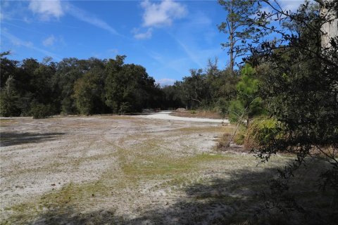 Terrain à vendre à Melrose, Floride № 1513021 - photo 12