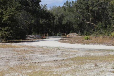 Terrain à vendre à Melrose, Floride № 1513021 - photo 11