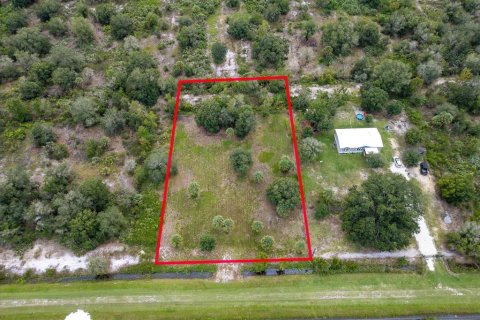 Land in Okeechobee, Florida № 2212640 - photo 4
