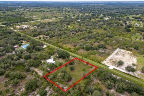 Land in Okeechobee, Florida № 2212640 - photo 14