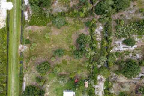 Land in Okeechobee, Florida № 2212640 - photo 3