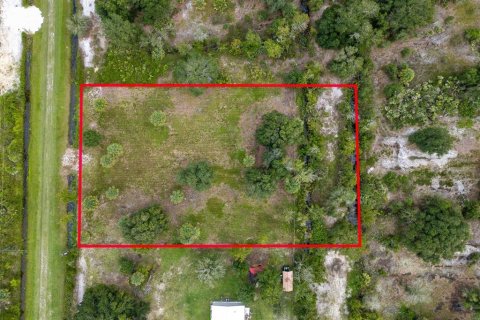 Land in Okeechobee, Florida № 2212640 - photo 2