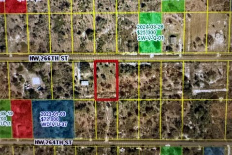 Land in Okeechobee, Florida № 2212640 - photo 19